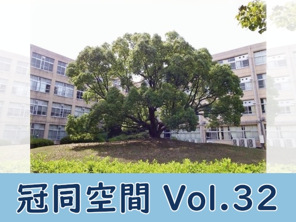 お知らせの画像