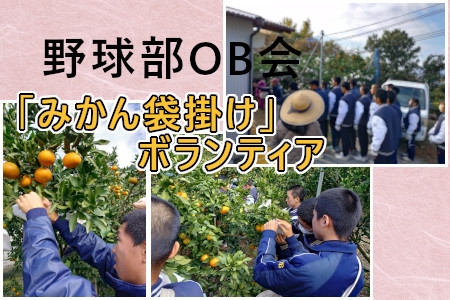 お知らせの画像