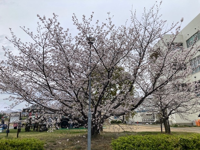 お知らせの画像