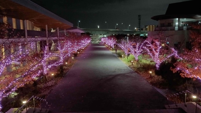 お知らせの画像