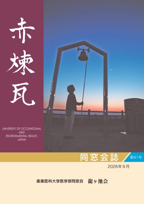 赤煉瓦第41号